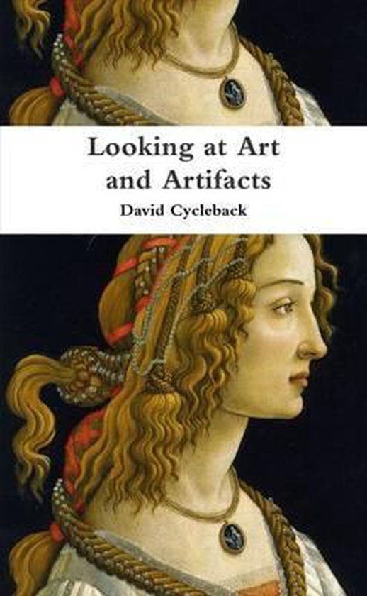 Looking at Art and Artifacts, David Cycleback | 9781304344021 | Boeken ...
