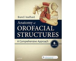 Anatomy of Orofacial Structures
