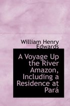 A Voyage Up the River Amazon