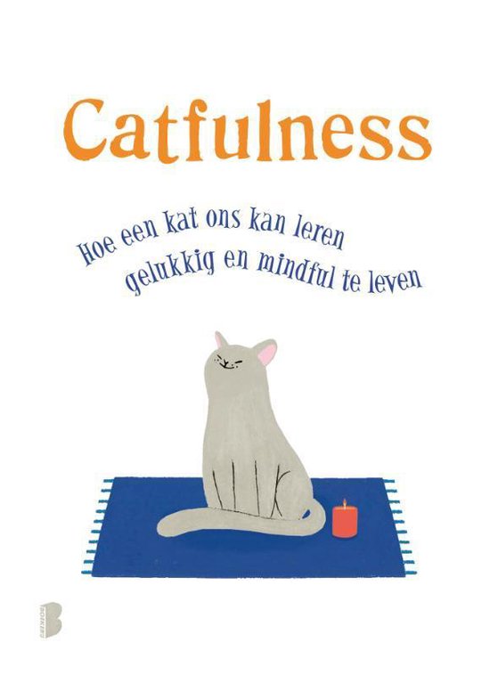 Boek cover Catfulness van Paolo Valentino (Hardcover)