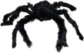 Halloween Halloween/Horror decoratie spin zwart 60 cm