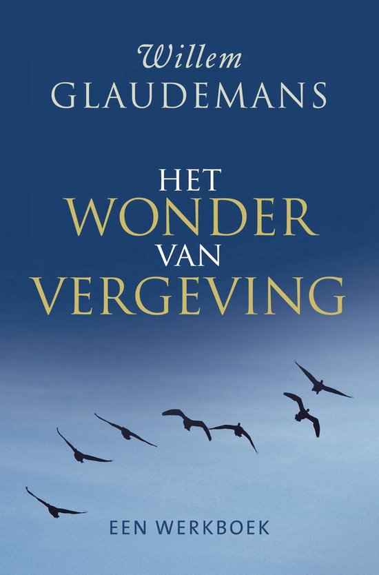 Het wonder van vergeving / deel Een werkboek - Willem Glaudemans | 