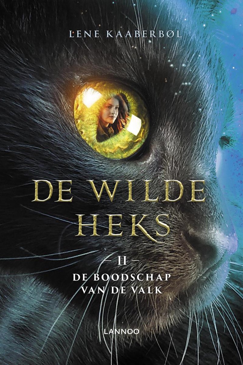 Bol Com De Wilde Heks 2 De Boodschap Van De Valk Lene Kaaberbol 9789401458559 Boeken