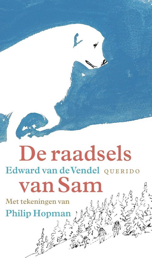 De raadsels van Sam - cover