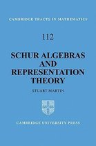 Schur Algebras And Representation Theory