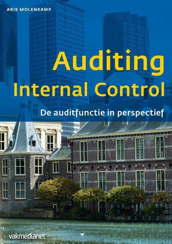 Controlling & auditing in de praktijk 110 - Auditing internal control - Arie Molenkamp | Tiliboo-afrobeat.com