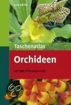 Taschenatlas Orchideen