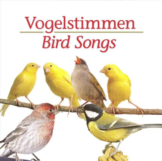 Hoes van Vogelstimmen