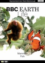BBC Earth - Life: Deel 7