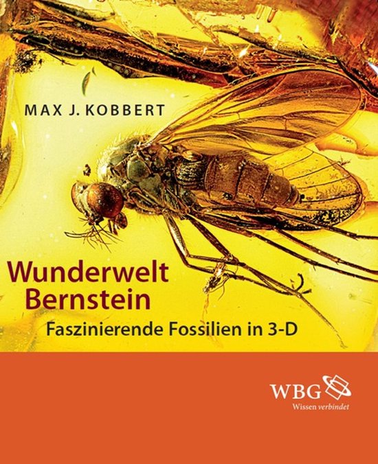 Wunderwelt Bernstein