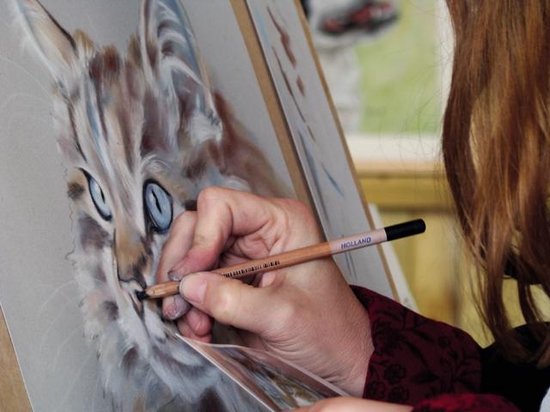 Kunstenaar tekent met potlood de ogen van een kat, met Nederland op potlood.