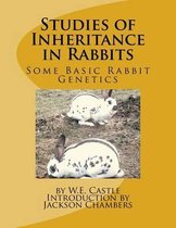 Studies of Inheritance in Rabbits