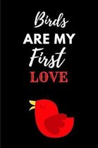 Birds Are My First Love