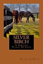 Silver Birch a Special Place to Live