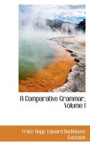 A Comparative Grammar, Volume I