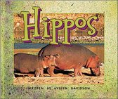 Hippos (Level 9)