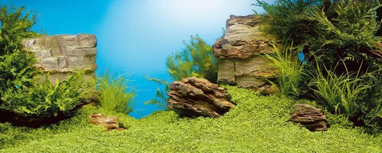 Beste achterwand aquarium uit 2022 okt. (Top 10) | Bestenu