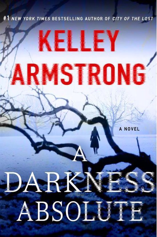 Casey Duncan Novels 2 - A Darkness Absolute - cover