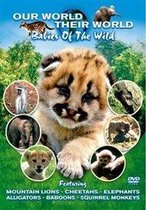 Babies Of The Wild (DVD)