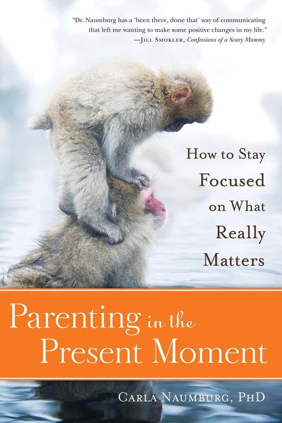 Parenting in the Present Moment - cover