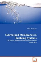 Submerged Membranes in Bubbling Systems