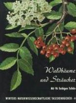 Waldbäume, Sträucher und Zwergholzgewächse