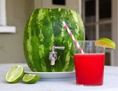 Tapkraan voor Watermeloen - RVS - Zilver