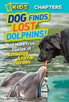 Dog Finds Lost Dolphins!