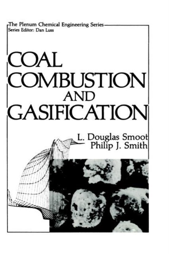 Coal Combustion and Gasification - cover
