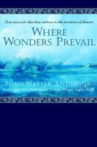 Where Wonders Prevail