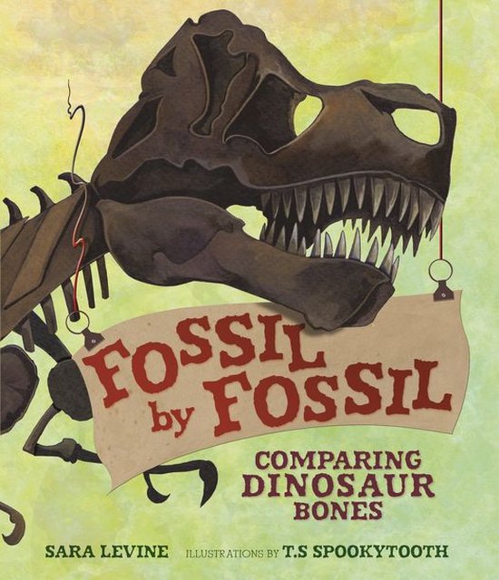 Animal by Animal - Fossil by Fossil - cover