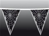 Vlaggenlijn spinnenweb