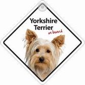 Yorkshire Terrier On Board