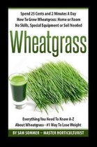 Spend 25 Cents and 2 Minutes A Day How To Grow Wheatgrass
