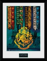 Framed collector print met kader 30 x 40cm Harry Potter House Flags