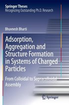 Adsorption, Aggregation and Structure Formation in Systems of Charged Particles