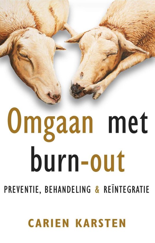 Omslag van Omgaan met burn-out
