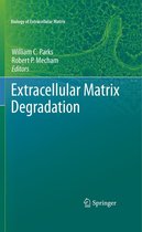 Biology of Extracellular Matrix - Extracellular Matrix Degradation