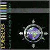 Invisible Records 1988-93: Can You See It Yet?
