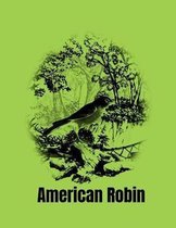 American Robin