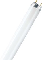 Noxion LED Railspot Spot Trixie Wit 30W 1760lm 36D - 930-957 Afstembaar Wit | Beste Kleurweergave.