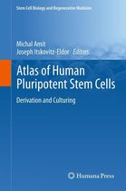 Stem Cell Biology and Regenerative Medicine - Atlas of Human Pluripotent Stem Cells