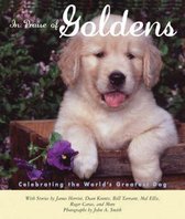 In Praise of Goldens