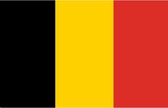 Vlag van Belgie