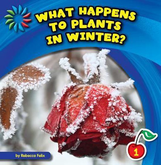 What Happens to Plants in Winter?, Rebecca Felix 9781631376085 Boeken