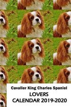 Cavalier King Charles Spaniel Lovers Calendar 2019-2020