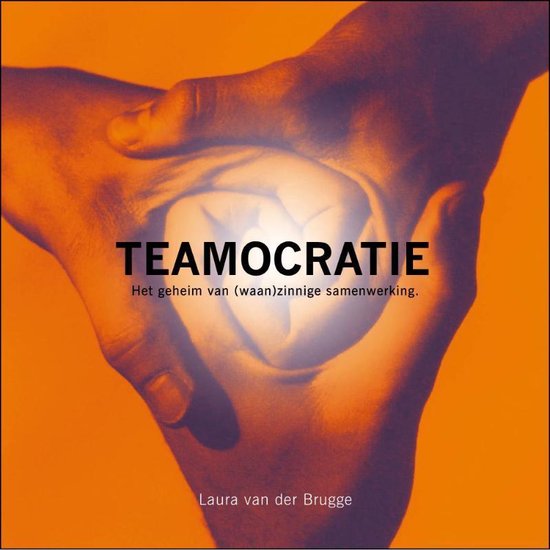 Teamocratie - Laura van der Brugge | Respetofundacion.org