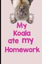 My Koala Ate My Homework