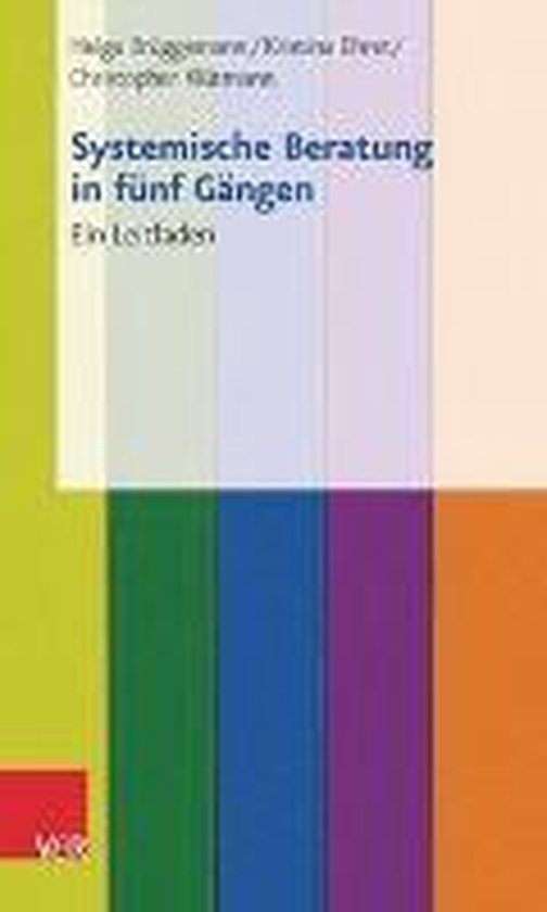 Systemische Beratung in Funf Gangen - cover