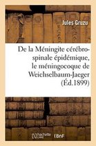 Sciences- de la Méningite Cérébro-Spinale Épidémique, Le Méningocoque de Weichselbaum-Jaeger